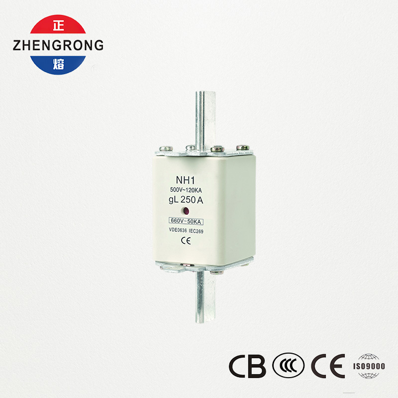 CE- en IEC-gecertificeerde zekeringverbinding NH1 500V 250A, hoog uitschakelvermogen