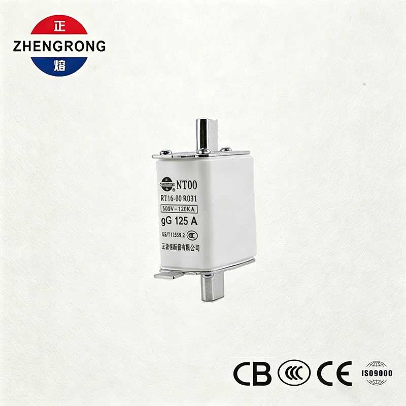 Hoge uitschakelcapaciteit NT00 125A zekering - 500V 120kA keramische gG-zekeringverbinding