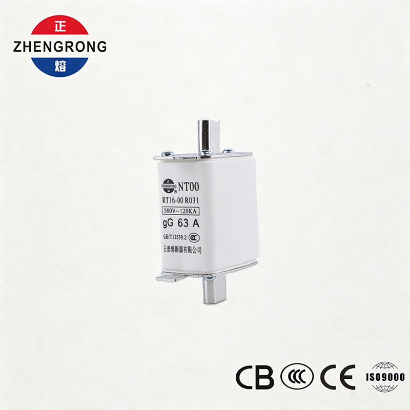 Hoge uitschakelcapaciteit NT00 63A zekering - 500V 120kA keramische gG-zekeringverbinding