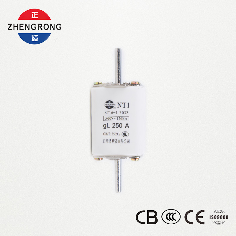 Zhenghao NT1 250A meszekering
